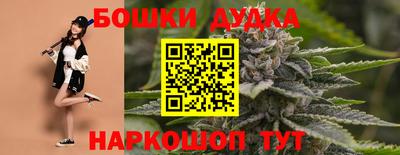 молекула духа Волжский