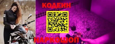 молекула духа Волжский