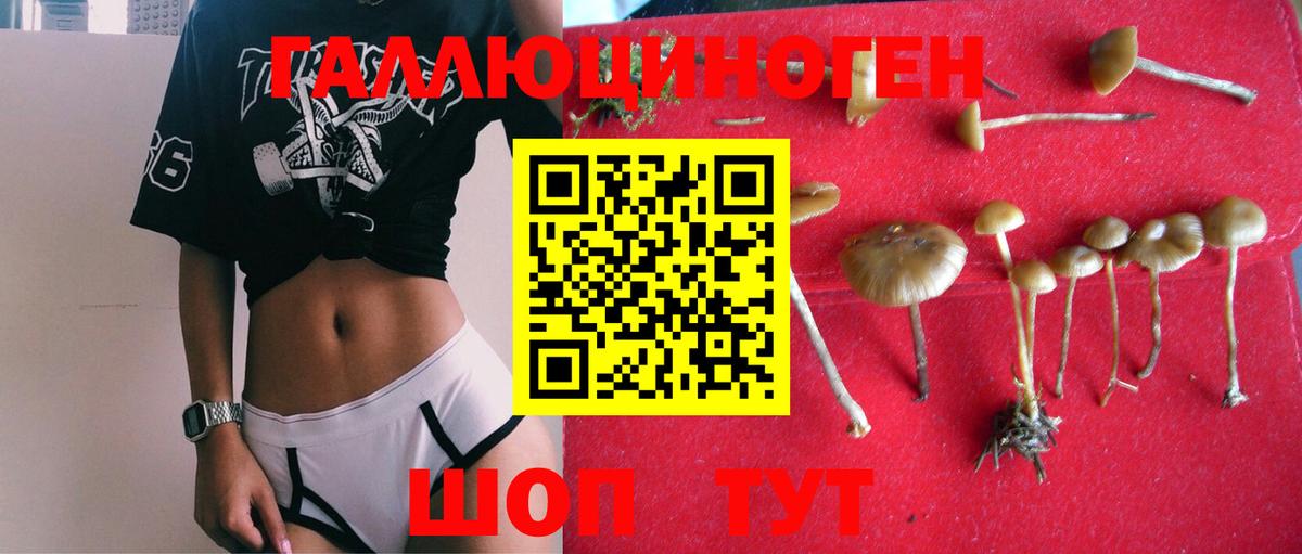 Псилоцибиновые грибы GOLDEN TEACHER Богородск