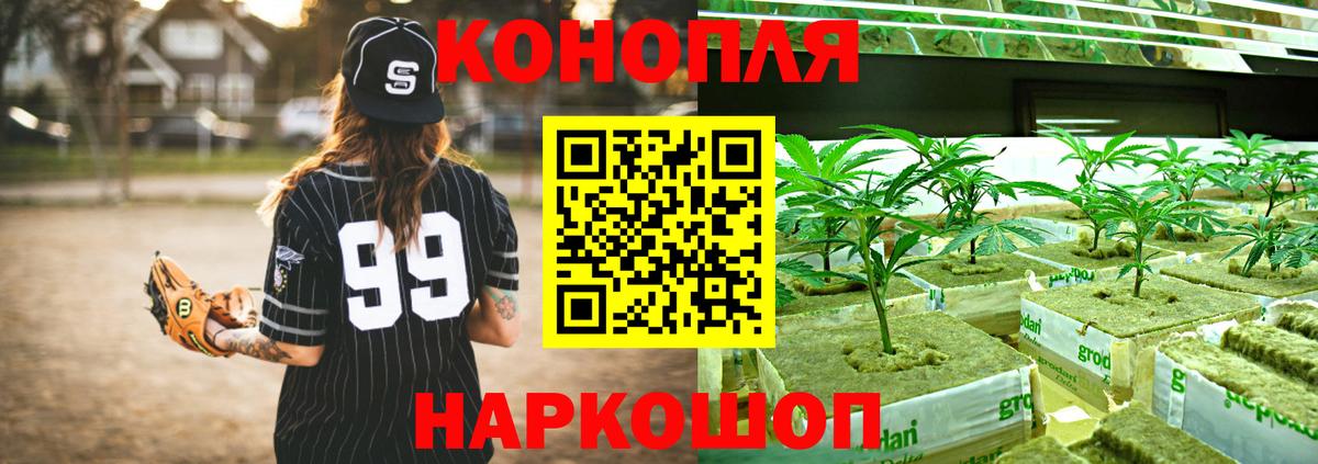 Конопля планчик  Вход с VPN  Бошки Шишки VHQ  Бошки Шишки MAZAR  Богородск 